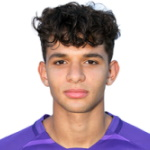 Z. El Sheiwi